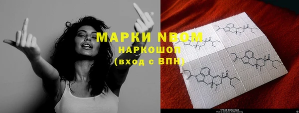 круглые Аркадак