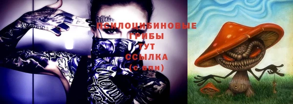 молекула духа Арсеньев